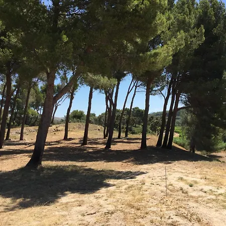 Typical Provencal Farm In An Exceptional Natural Site, The Alpilles Park - 8 People. *